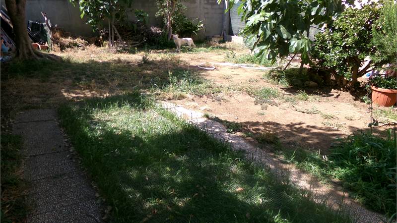 quadrivano con giardino in bi familiare 